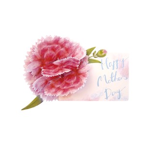 【2024母の日カード】カーネーション母の日ポップアップカード／ピンク