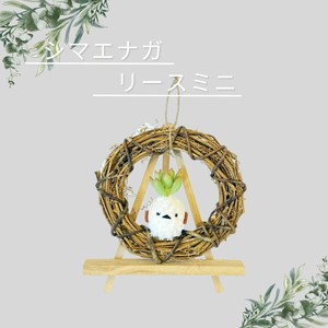 多肉植物　インテリアプランツ　モスビー　プレゼント　シマエナガ　癒やし