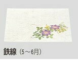 【在庫処分セール】四季尺3懐石まっと（50枚入）