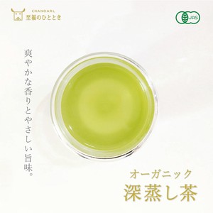 オーガニック 深蒸し茶（ティーバッグ5P） 有機JAS 国産 グリーンティー 水出し緑茶