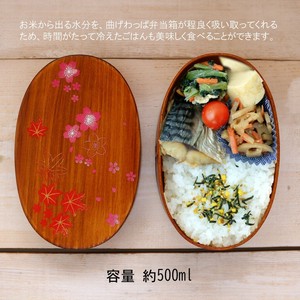 便当盒 便当