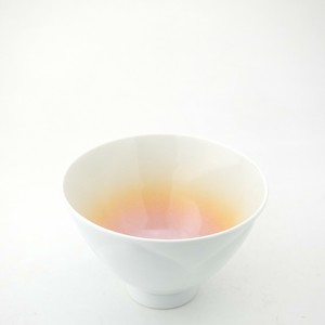 Japanese Teacup Arita ware Pastel Summer Spring Made in Japan
