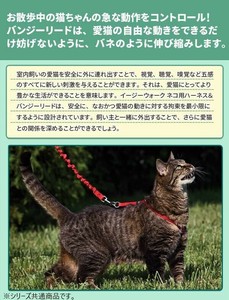 ペットセーフ イージーウォーク ネコ用ハーネス&バンジーリード M  ロイヤルブルー・EW-CH-M-RYL-18
