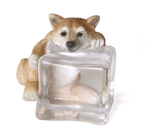 Object/Ornament Animals Shiba Dog