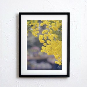 Poster flower