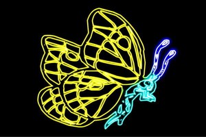 【ネオン】バタフライ【ちょうちょ】【蝶々】【昆虫】【虫】【ネオンライト】【電飾】【LED】【ライト】