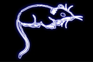 【ネオン】ねずみ【マウス】【ネズミ】【鼠】【アニマル】【動物】【ネオンライト】【電飾】【LED】【ラ
