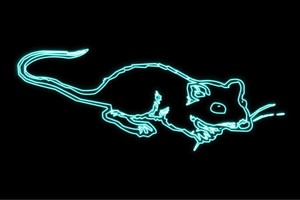 【ネオン】マウス【ねずみ】【ネズミ】【鼠】【アニマル】【動物】【ネオンライト】【電飾】【LED】【ラ