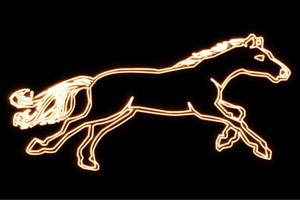 【ネオン】馬【うま】【ウマ】【ホース】【アニマル】【動物】【ネオンライト】【電飾】【LED】【ライト