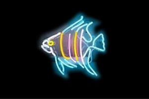 【ネオン】tropical fish【魚】【フィッシュ】【さかな】【海】【熱帯魚】【BAR】【バー】