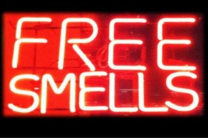 【ネオン】FREE SMELLS【フリースメル】【匂い】【無臭】【文字】【もじ】【ネオンライト】【電