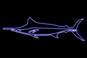 【ネオン】シャーク【さめ】【鮫】【サメ】【人食いサメ】【海】【動物】【アニマル】【ネオンライト】【電