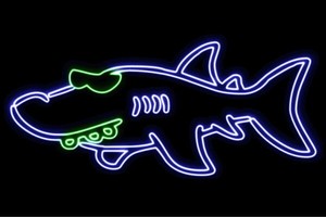 【ネオン】シャークマン【シャーク】【さめ】【鮫】【サメ】【魚】【海】【動物】【アニマル】【ネオンライ