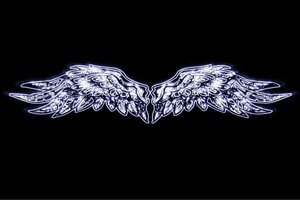 【ネオン】ウイング【11】【羽】【翼】【はね】【つばさ】【WING】【フェザー】【天使】【ネオンライ