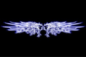【ネオン】ウイング【19】【羽】【翼】【はね】【つばさ】【WING】【フェザー】【天使】【ネオンライ