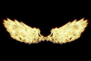 【ネオン】ウイング【20】【羽】【翼】【はね】【つばさ】【WING】【フェザー】【天使】【ネオンライ
