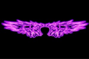 【ネオン】ウイング【30】【羽】【翼】【はね】【つばさ】【WING】【フェザー】【天使】【ネオンライ