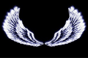 【ネオン】ウイング【33】【羽】【翼】【はね】【つばさ】【WING】【フェザー】【天使】【ネオンライ