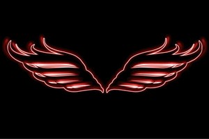 【ネオン】ウイング【48】【羽】【翼】【はね】【つばさ】【WING】【フェザー】【天使】【ネオンライ