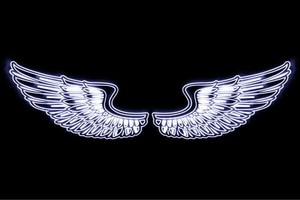 【ネオン】ウイング【50】【羽】【翼】【はね】【つばさ】【WING】【フェザー】【天使】【ネオンライ