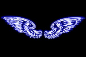 【ネオン】ウイング【52】【羽】【翼】【はね】【つばさ】【WING】【フェザー】【天使】【ネオンライ
