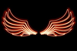 【ネオン】ウイング【54】【羽】【翼】【はね】【つばさ】【WING】【フェザー】【天使】【ネオンライ