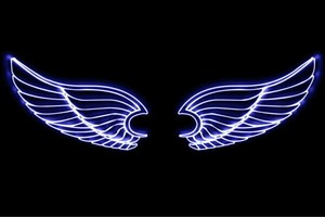【ネオン】ウイング【55】【羽】【翼】【はね】【つばさ】【WING】【フェザー】【天使】【ネオンライ