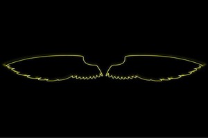 【ネオン】ウイング【56】【羽】【翼】【はね】【つばさ】【WING】【フェザー】【天使】【ネオンライ