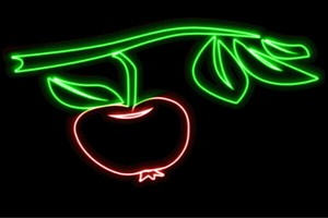 【ネオン】りんご【15】【APPLE】【リンゴ】【林檎】【アップル】【果物】【フルーツ】【くだもの】
