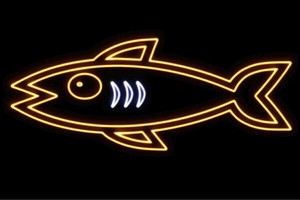 【ネオン】お魚【10】【魚】【フィッシュ】【さかな】【サカナ】【FISH】【海】【うみ】【ネオンライ