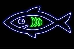 【ネオン】お魚【13】【魚】【フィッシュ】【さかな】【サカナ】【FISH】【海】【うみ】【ネオンライ