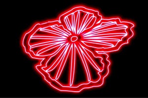 【ネオン】花【28】【ふらわー】【フラワー】【はな】【ハナ】【FLOWER】【お花】【ネオンライト】