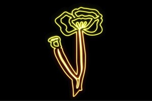 【ネオン】花【33】【ふらわー】【フラワー】【はな】【ハナ】【FLOWER】【お花】【ネオンライト】