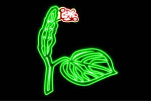 【ネオン】リーフ【4】【りーふ】【葉】【葉っぱ】【植物】【木】【しょくぶつ】【ネオンライト】【電飾】