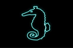 【ネオン】タツノオトシゴ【4】【たつのおとしご】【サカナ】【魚】【夏】【海】【動物】【アニマル】【ネ