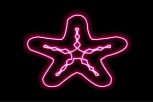 【ネオン】ヒトデ【3】【海星】【ひとで】【ほし】【星】【スター】【海】【動物】【アニマル】【ネオンラ