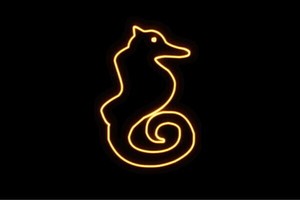 【ネオン】タツノオトシゴ【5】【たつのおとしご】【サカナ】【魚】【夏】【海】【動物】【アニマル】【ネ