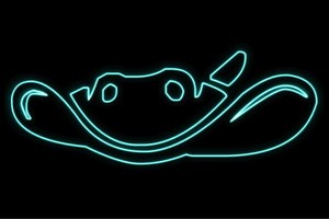 【ネオン】お魚【26】【魚】【フィッシュ】【さかな】【サカナ】【FISH】【海】【うみ】【ネオンライ