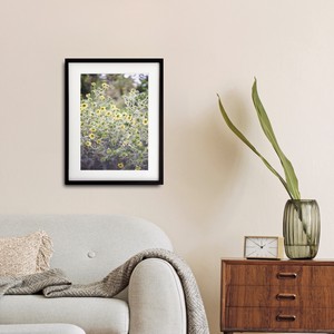 【アートポスター】写真 日本 花 シルフィウム モーリー 風景景色 photo japan flower A4サイズ 額縁付