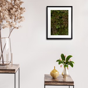 【アートポスター】写真 日本 観葉植物 風景景色 photo japan flower A4サイズ 額縁付