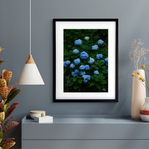 Poster Hydrangea flower