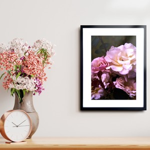 【アートポスター】写真 日本 花 バラ 薔薇 風景景色 photo japan flower A4サイズ 額縁付