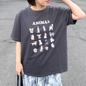 T 恤/上衣 新款 2024年 动物