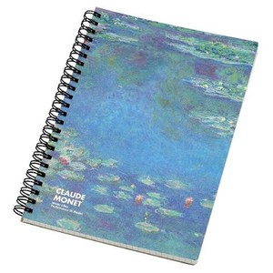 Notebook etranger di costarica