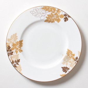 Plate 27.5cm Main Dish Parsley Gold Dishwasher Safe Made in Japan