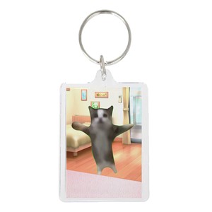 Key Ring Key Chain Cat Clear 100-pcs