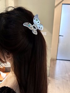 Clip Mini Butterfly Summer Spring