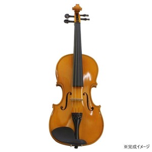 HOSCO(ホスコ)  楽器組立キット　バイオリンキット  V-KIT-1
