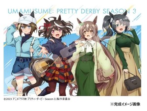 ジグソーパズル 500ピース TVアニメ「ウマ娘 プリティーダービー Season 3」 キャラクター 500-569