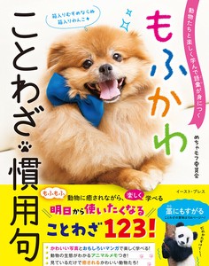 もふかわ ことわざ・慣用句　動物／学習参考書／児童書／かわいい